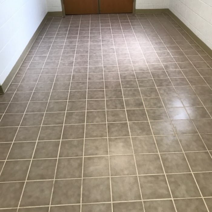 Tile &amp; Grout