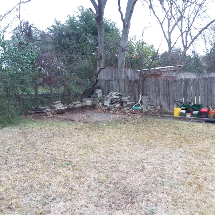 Shed After