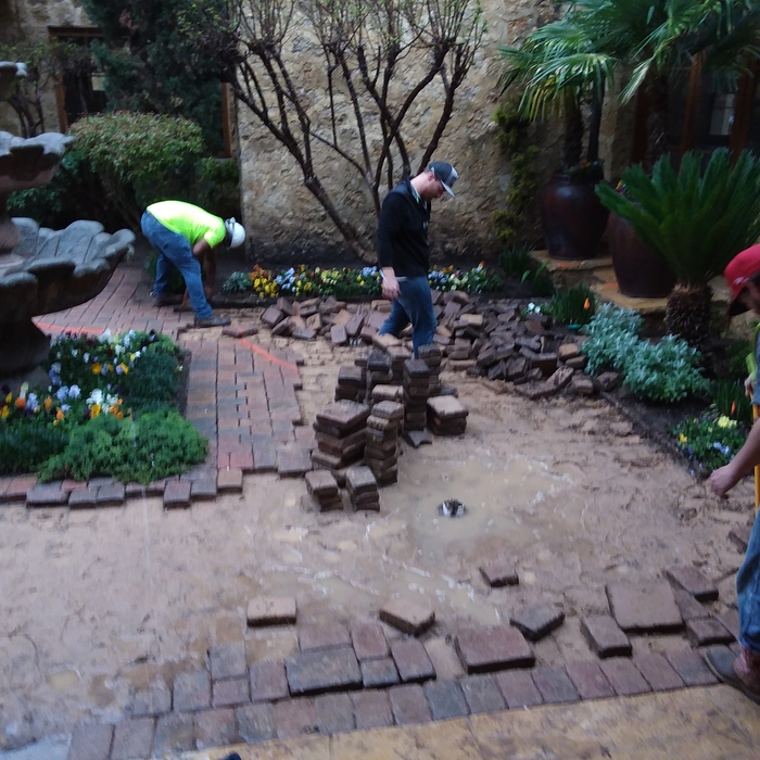 Landscape Removal 6