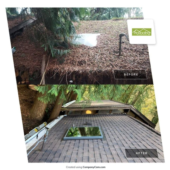 Roof Cleanup