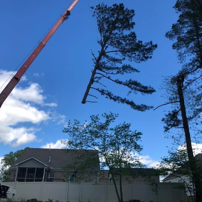 Crane job