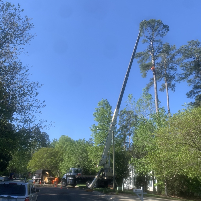 crane job