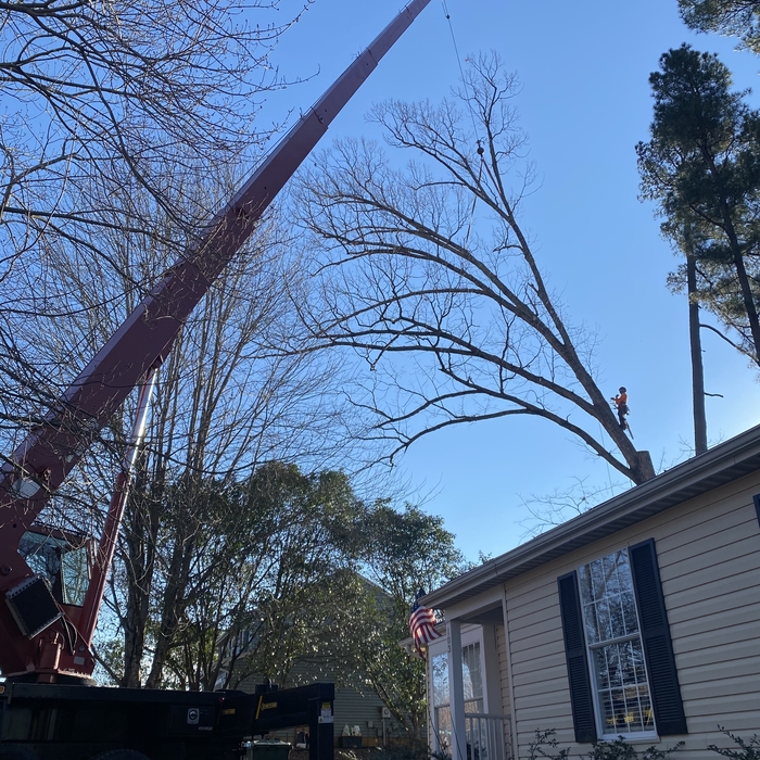 crane job