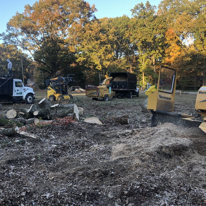 stump grinder
