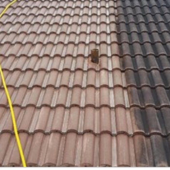 Roof washing