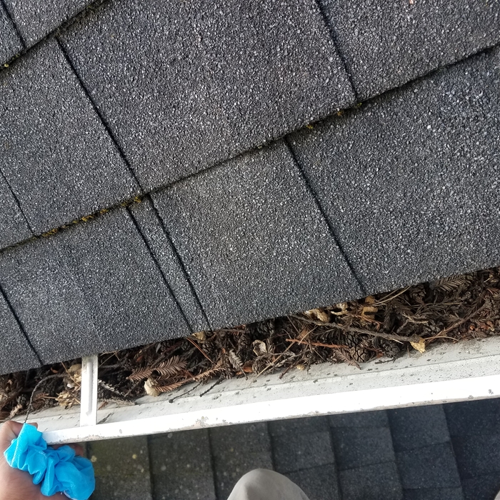 Gutter cleaning