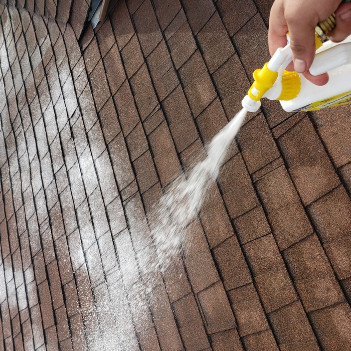 Putting chemical to protect of moss
