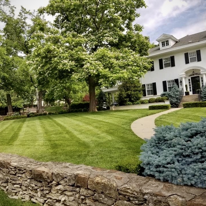 Lawn Mowing Stripes &amp; Trimming