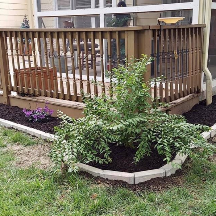 Mulch and Edging Installation