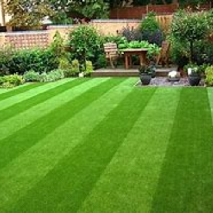 backyard oasis