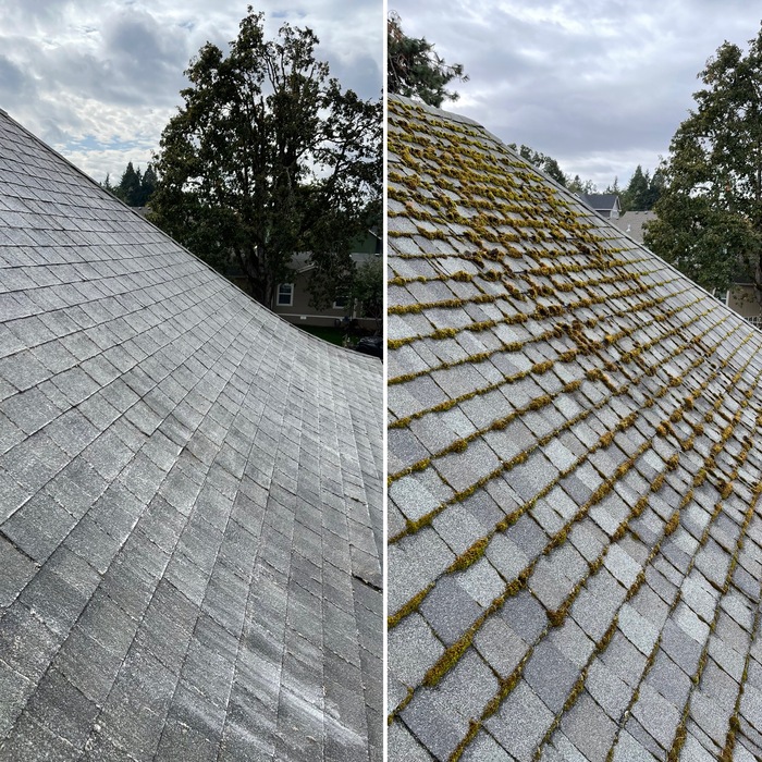 Moss Treatment