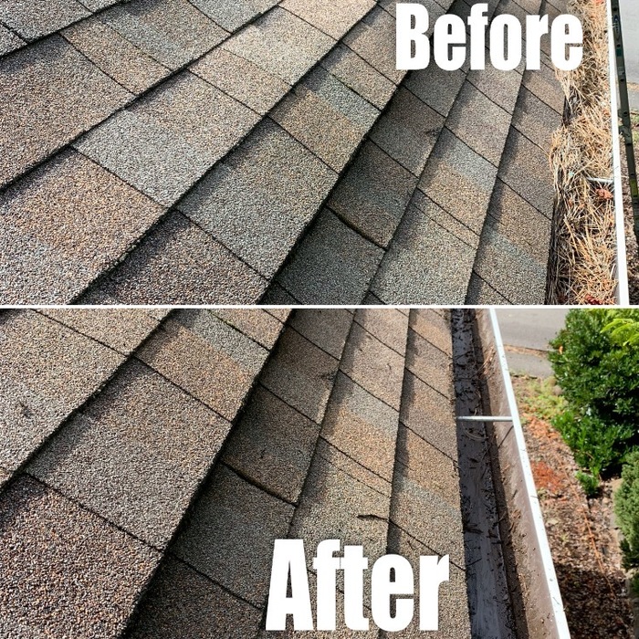 gutter cleaning
