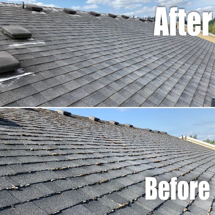 roof cleaning
