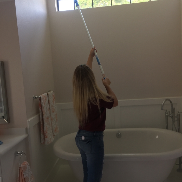 Window Cleaning