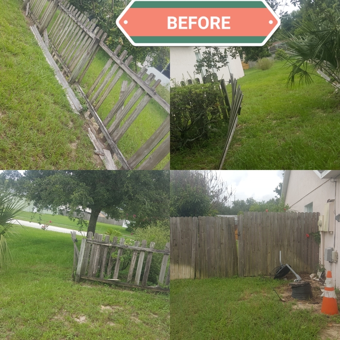 Old fence