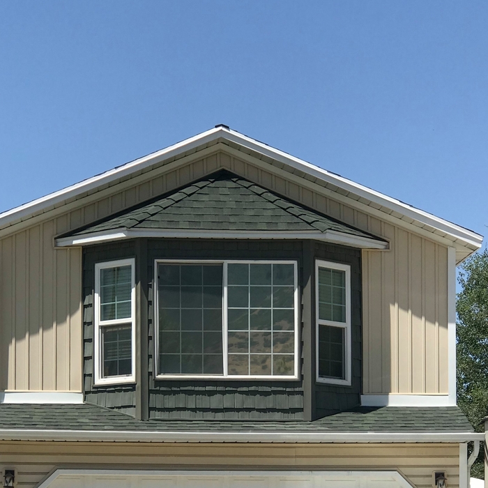 Siding with shake