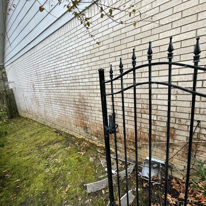 Brick cleaning - before