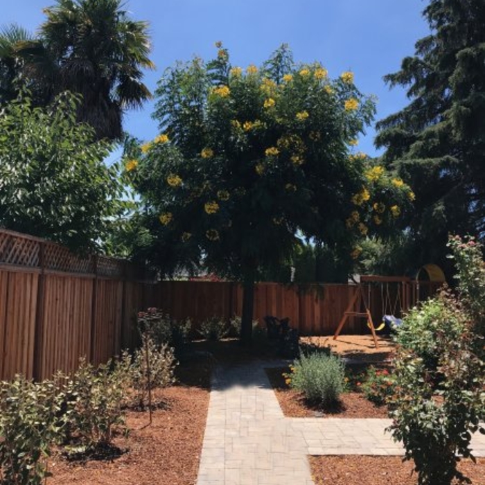 Complete Landscape