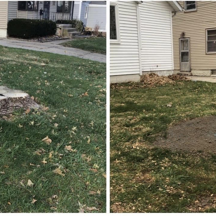 Stump grinding complete service