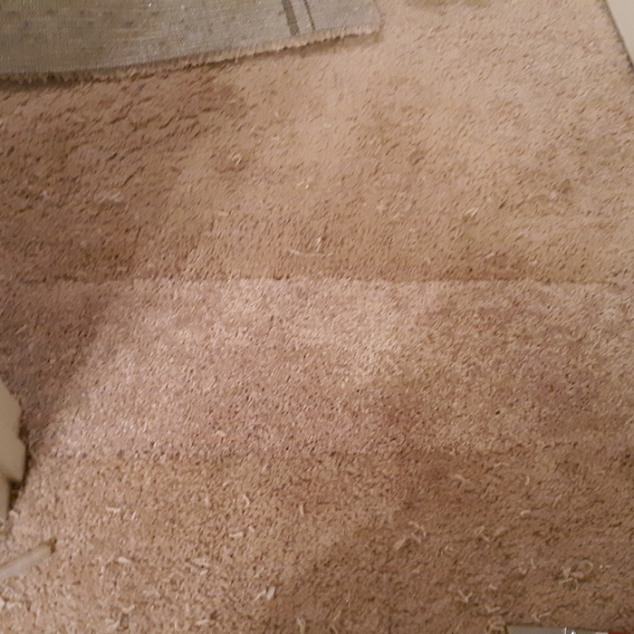 After Carpet repair