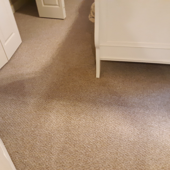 Bedroom carpet during cleaning process