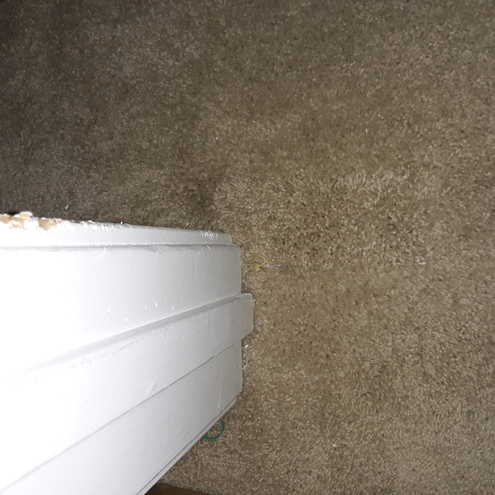 After Carpet Repair