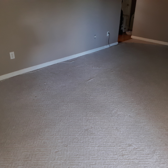 Carpet after steam cleaning
