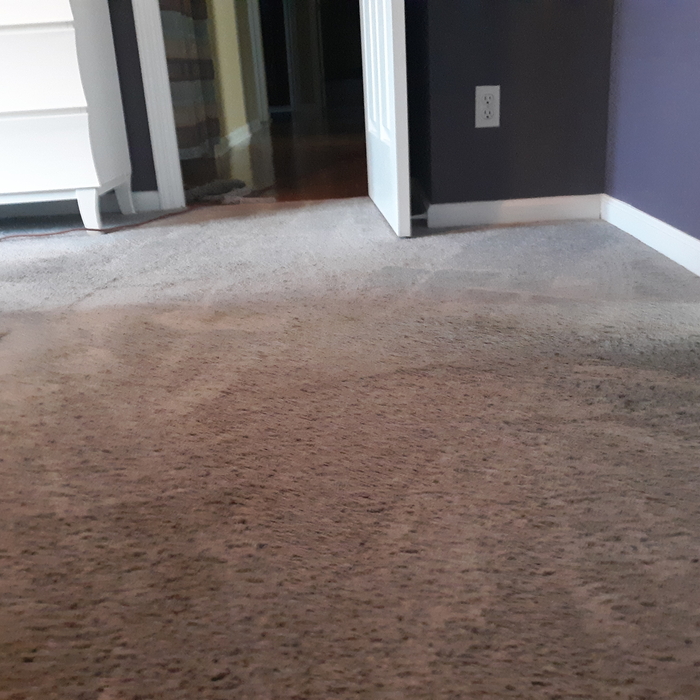Carpet after Restretching