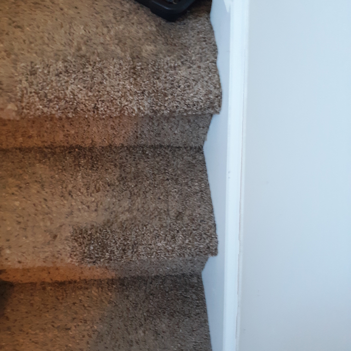 Stairs damaged by pet after repair