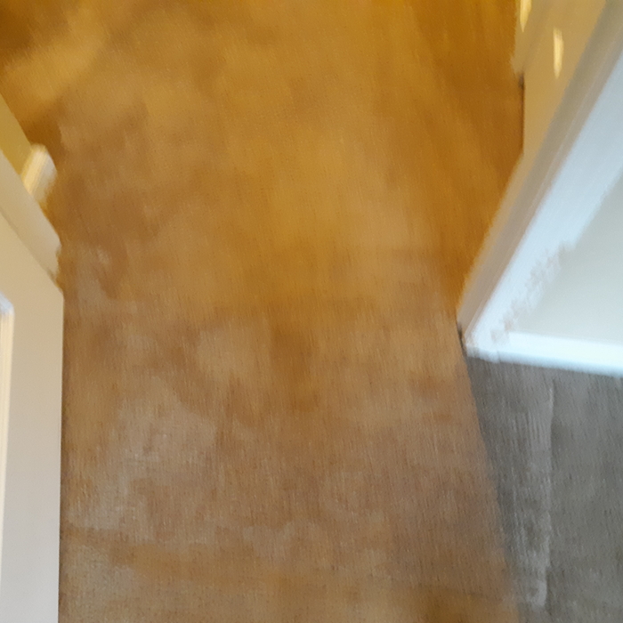 After Carpet Repair