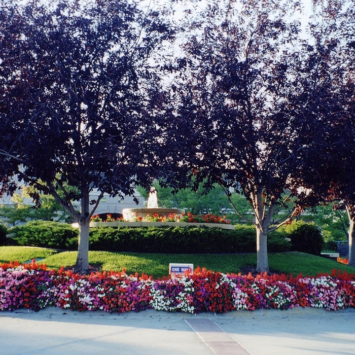 Community Entry Way