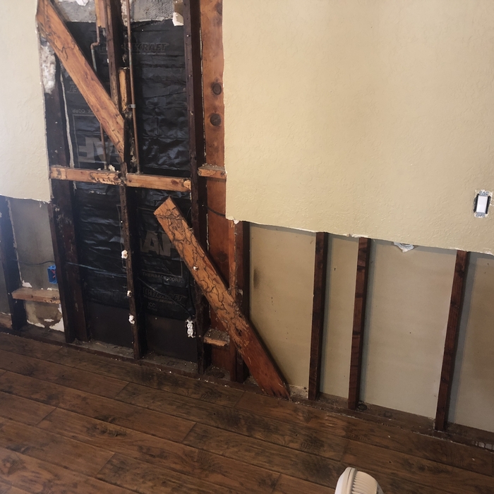 Subterranean termite mud tubes and damage