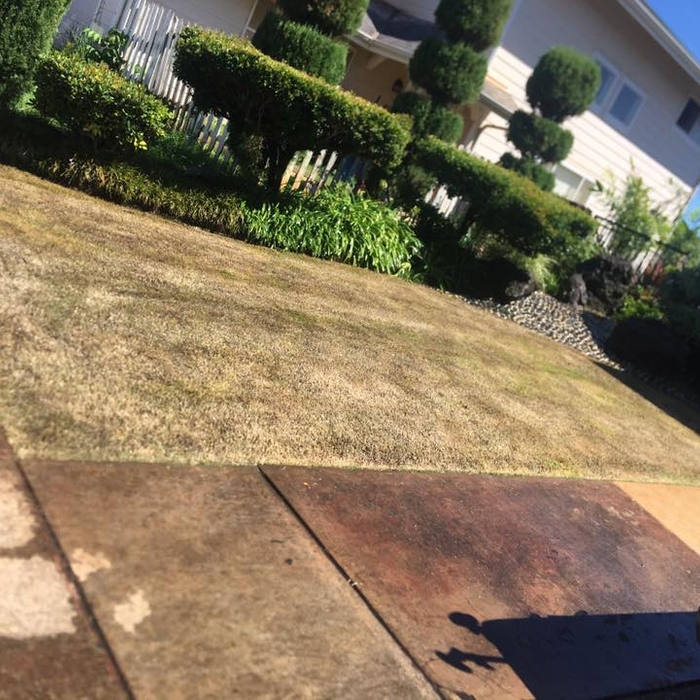 CLEAN UP
