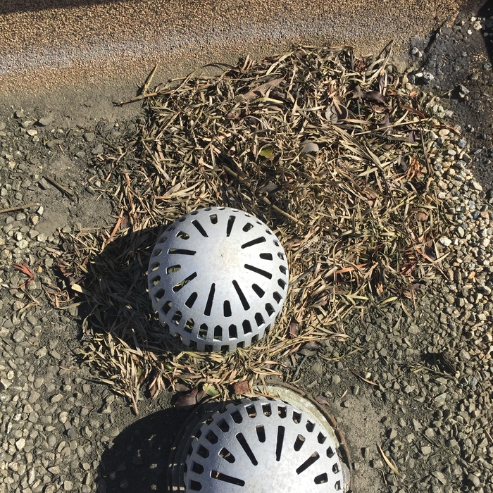 Before Cleaning Leaves from Downspout
