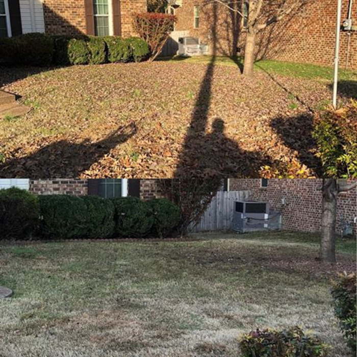 Before and After