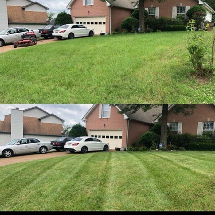 Before and After