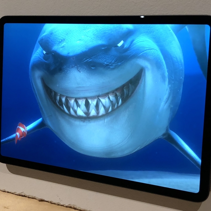 iPad as TV