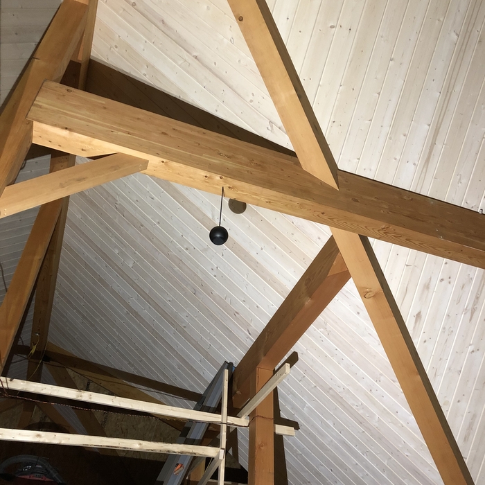 Gallo Acoustic&#39;s Pendant speaker