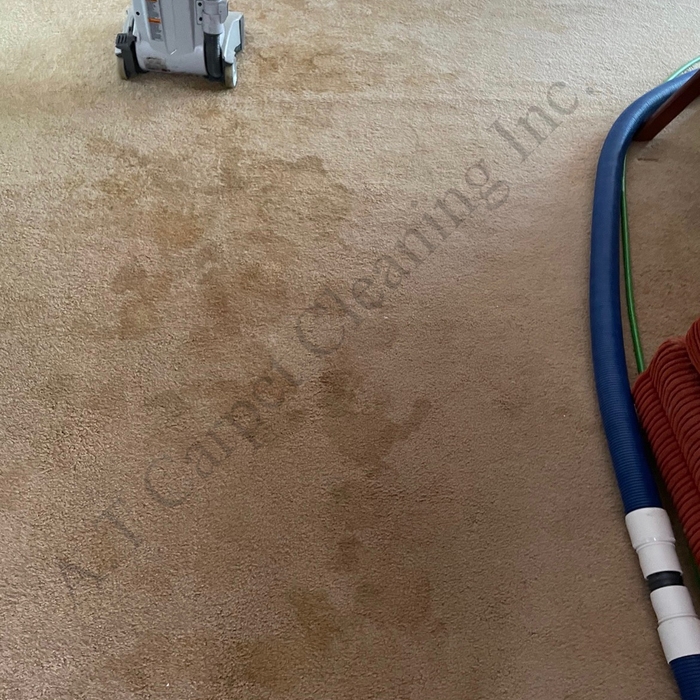 Stains and spots