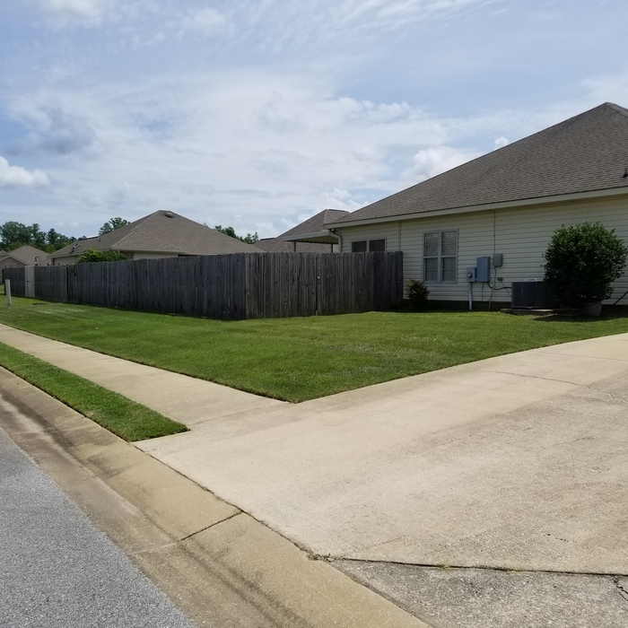 Side yard 4