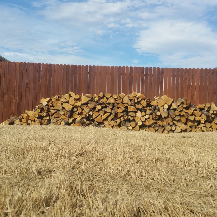 WoodDefender (Sierra)