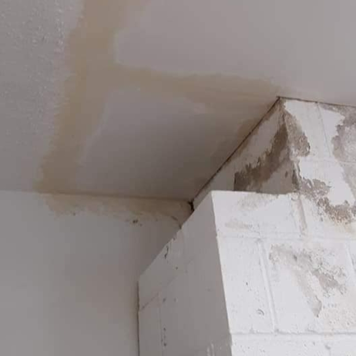 Ceiling leak repair