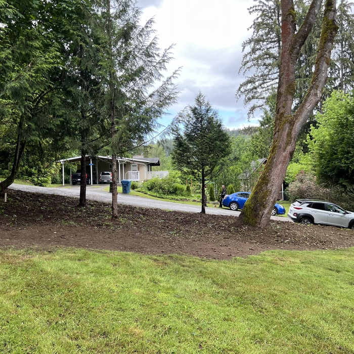 Underbrush removal after photo