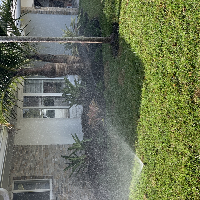 Upgraded sprinkler system