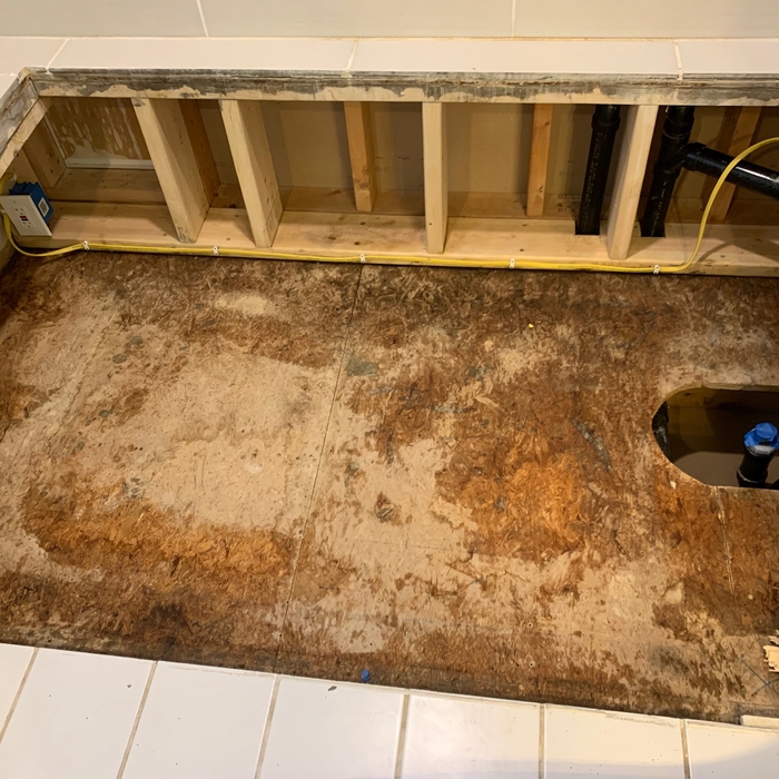 All Mold removed