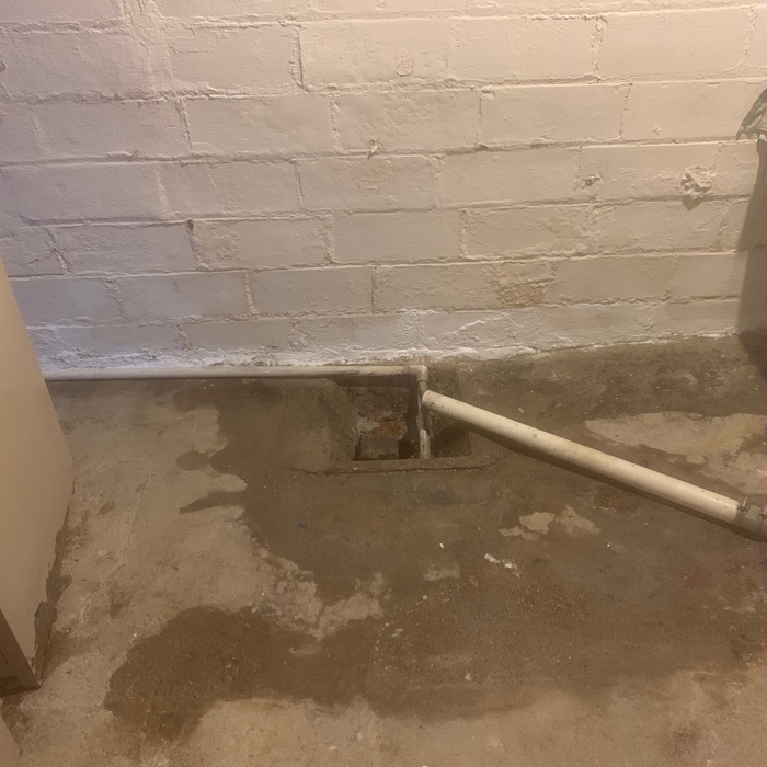Cleaned surfaces