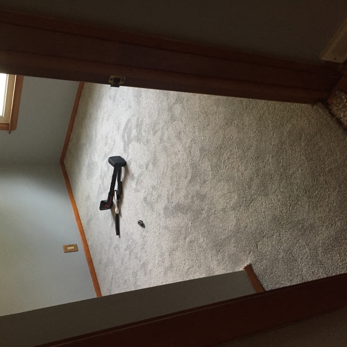 carpet and interior painting