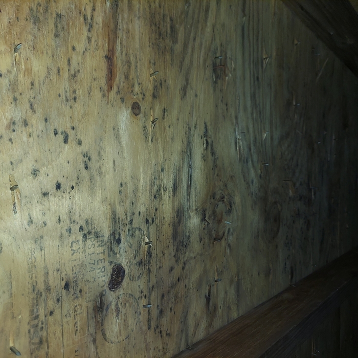 Mold Remediation