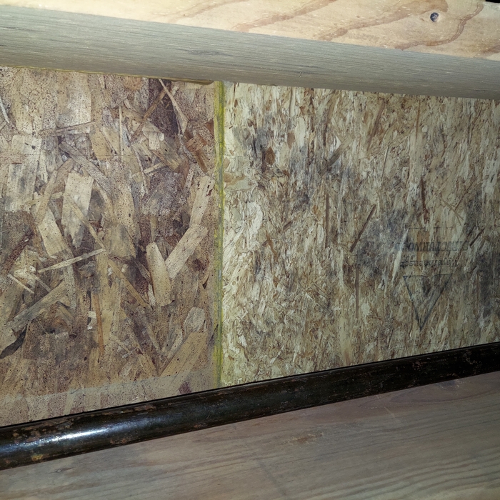 Mold Remediation Crawlspace