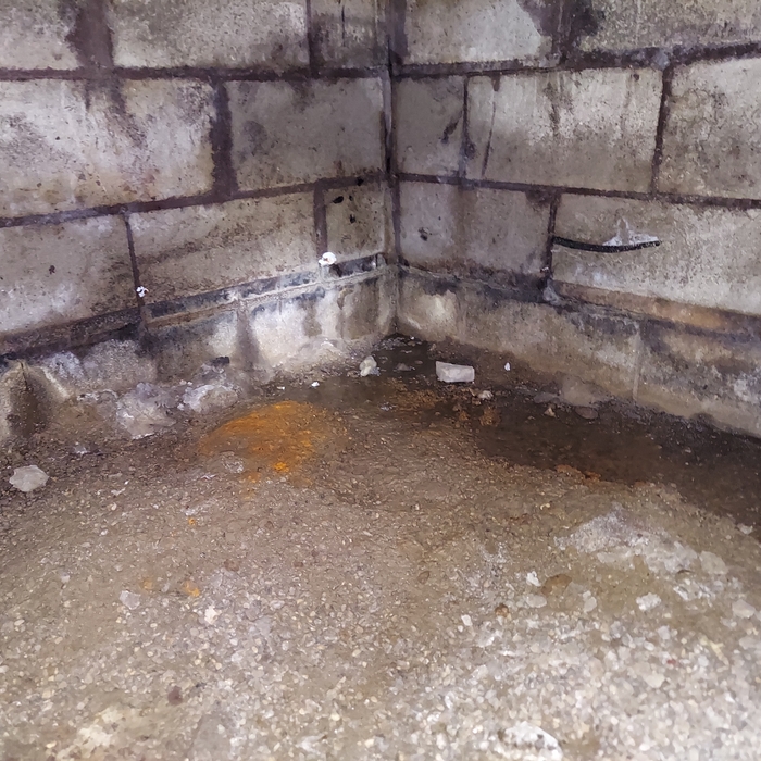 Mold Remediation Crawlspace